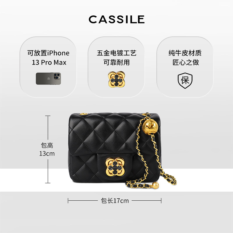 cassile卡思乐2023新款高级斜挎包 cassile卡思乐女士包袋