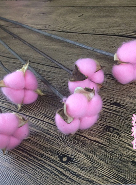 天然文艺风软装拍照道具ins干花