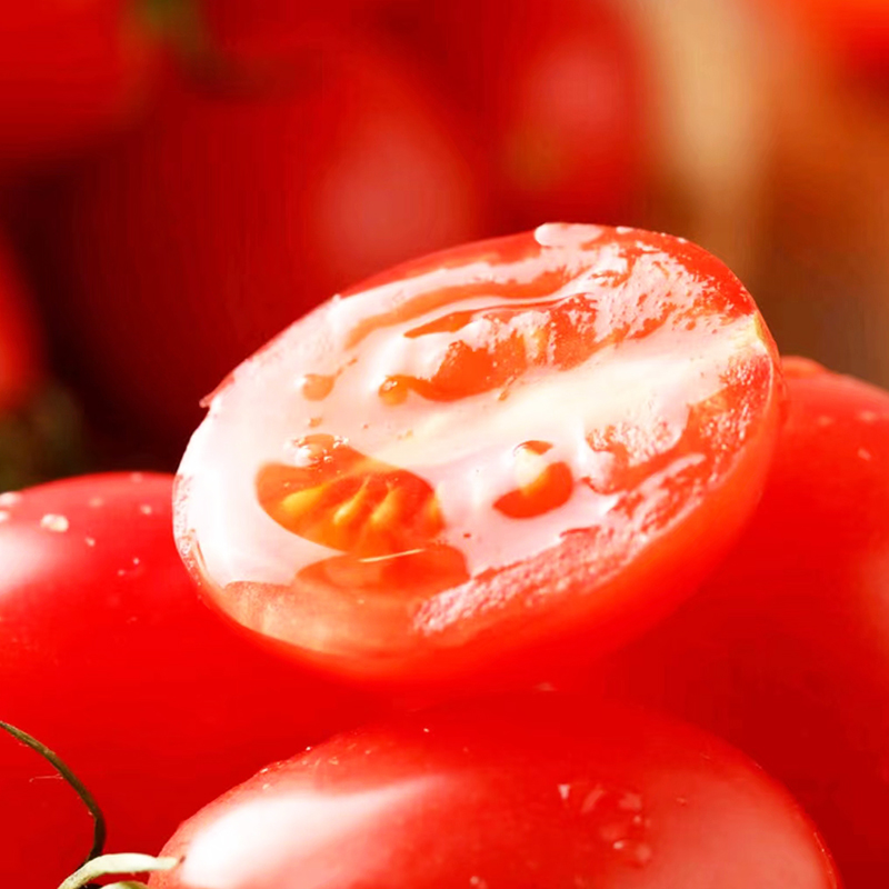 车厘茄千禧樱桃草莓番茄圣女果小西红柿1.25kg晨摘新鲜到家 - 图0