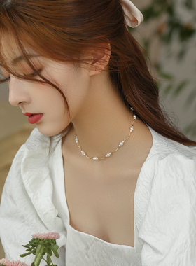 高级感小众轻奢项链颈链锁骨链