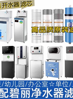 适配智水源智力士首悦商用机滤芯