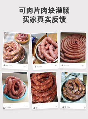 德国电动绞肉机Tenfly家用