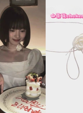 白色花朵颈链颈带颈花长款项链