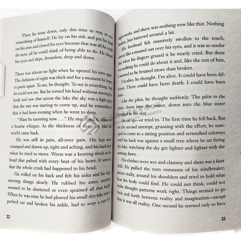 现货 手斧男孩 英文版原版小说 Hatchet 1020L 纽伯瑞奖作品 外文书籍 儿童文学 青少年课外读物 一个小男孩和一把手斧的荒野生存,淘宝优惠券,粉丝福利购,淘宝优惠卷