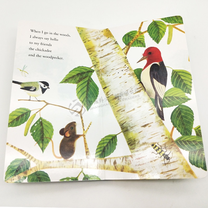 现货 幼儿绘本阅读英文原版启蒙绘本纸板书I am a Mouse,A Golden Sturdy我是一只老鼠0-3岁儿童英语启蒙金色童书I am a bunny系列,淘宝优惠券,粉丝福利购,淘宝优惠卷