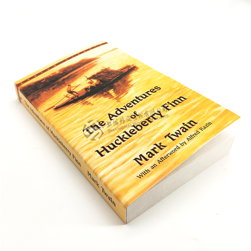  the adventures of huckleberry finn 