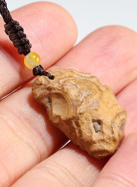 【孤品】九眼石页岩眼睛原石小吊坠 楼叔手工民族风挂件