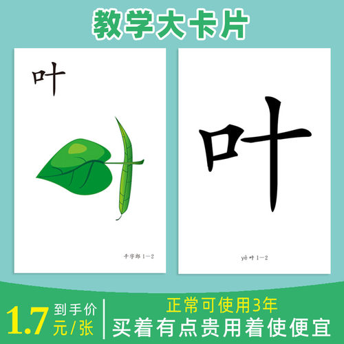幼儿园识字教学大卡32开本210mm*140mm千字郎单字版全脑开发3-6岁 - 图0
