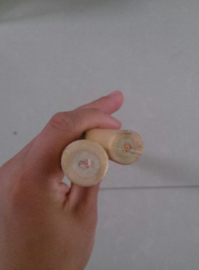 干树枝 树干 装饰树壮  枯木干枝艺术道具 天然原色本色去皮树枝