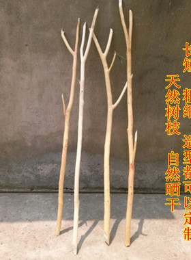 干树枝去皮挂衣装饰壁挂diy包邮