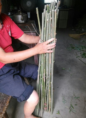 天然树枝 小树捆木段 干树枝 森系背景装饰小道具DIY装饰材料