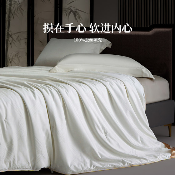 Shaw's pure cotton silk quilt antibacterial natural tussah silk quilt core spring and autumn handmade four-season quilt hot selling Shaw's