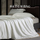 Shaw's pure cotton silk quilt antibacterial natural tussah silk quilt core spring and autumn handmade four-season quilt hot selling Shaw's