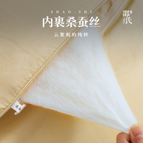 高端旗舰 御品级珍藏版9A级精选蚕茧王长丝 100桑蚕丝被A类母婴 - 图2