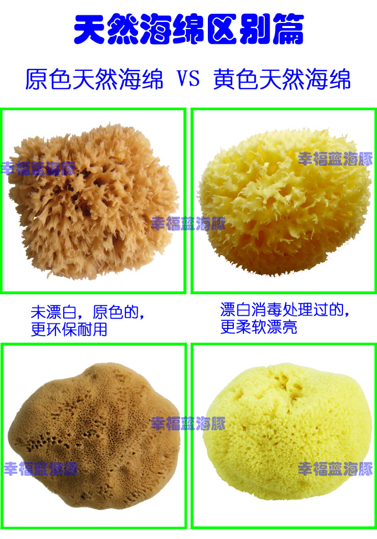 希腊直供地中海天然海绵14厘米+蜂窝海绵 沐浴 洗澡 洗脸洁面大号