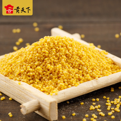 沁州黄小米石碾小米2500g*6袋整箱山西特产小米粥25年新米杂粮 - 图2