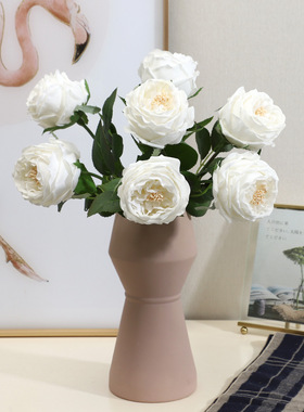 高级感逼真手感保湿奥斯汀香槟玫瑰花仿真花装饰客厅高档假花摆设