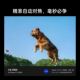 Vitrox 35mmF1.8E ເລນກອບເຕັມ