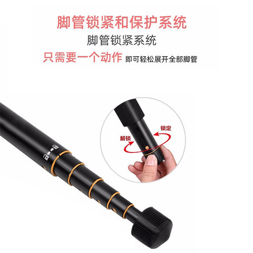 轻装时代Q555/Q555P相机便携三脚架 单反微单摄影摄像手机拍照支架迷你 多功能户外旅行短小三角架云台套装 - 图2