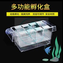 Benevolent and water family peacock fish breeding case acrylic isolation box special large number of spawning small fry juvenile fish hatching production house
