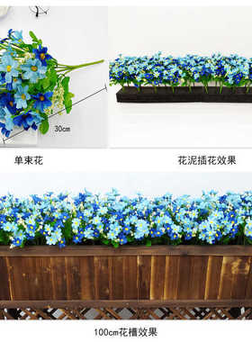 户外套装绿植花箱插花小雏菊