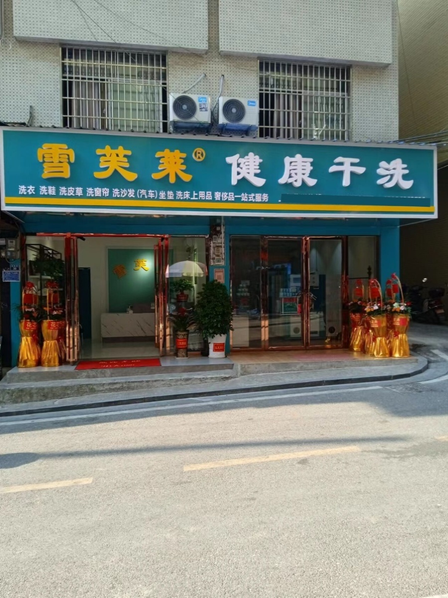 中型干洗店设备全套 湖南省雪芙莱洗衣店干洗机水洗机干洗设备