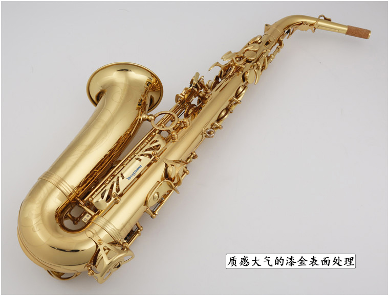 SAXOPHONE ALTO WO10 YANAGISAWA 中音萨克斯 W010 柳泽 日本 SAXOPHONE ALTO WO10 YANAGISAWA 中音萨克斯 W010 柳泽 日本