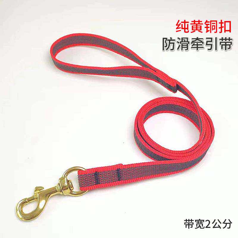 宠物防滑牵引绳牵狗绳中大型犬马犬边牧史宾格狗狗外出遛狗绳狗链,淘宝优惠券,粉丝福利购,淘宝优惠卷