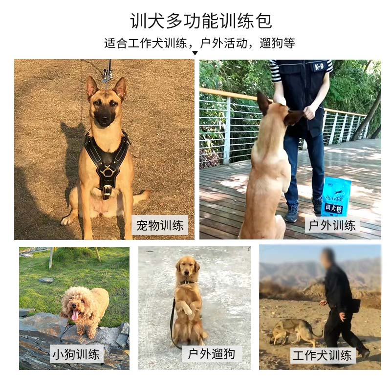 训犬用品装备训犬腰包零食袋宠物溜袋包大马犬狗狗零食包训练装备 - 图2