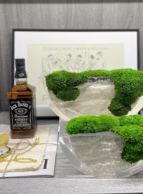 现代轻奢创意微景观永生苔藓绿植样板间售楼处客厅茶几装饰品花艺