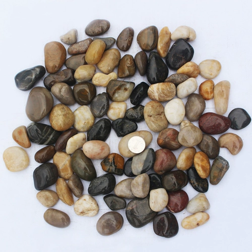 Дождь Цветок Пяти -Королевшиеся гальки -ландшафтные декоративные фоновые стена Каменная тротуар цветок и рыбака ландшафтная вода Кластер Песчаник