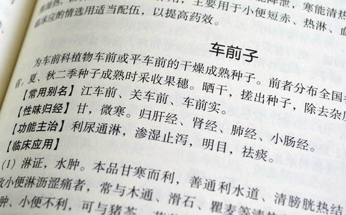 中医大百科 绸面精装16开12册 中医中药名医名著全套全集 推拿按摩针灸足疗刮痧火罐药膳减肥养生保养保健诊断诊疗老偏方书籍 - 图3