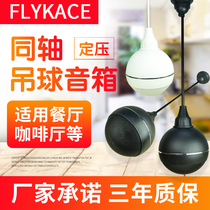 flykace constant pressure ceiling suspended ball horn shop restaurant background music sound ceiling hoisting sound box