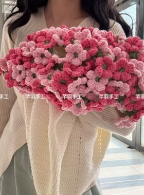 花束毯子手工编织材料包