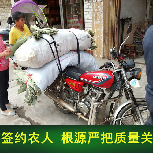 干粽叶大号粽叶新货宽棕叶包粽子竹叶特大粽子叶箬竹叶大码 - 图0