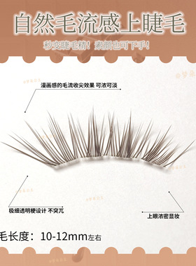 梦朵公主小糖豆单簇假睫毛清透