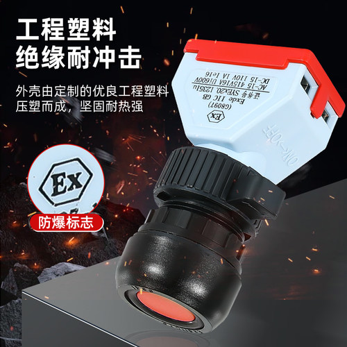 G8097/8030防爆防腐按钮控制开关自复位一常开常闭塑料防水开孔30 - 图2