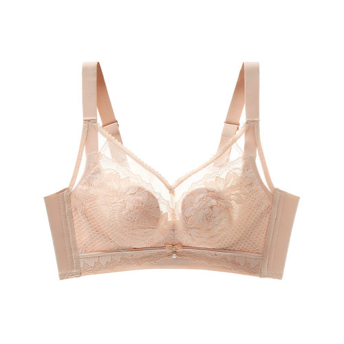 【大胸显小】内衣女防下垂性感蕾丝文胸舒适透气薄款无钢圈收副乳 - 图3