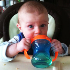 Munchkin麦肯奇/满趣健双把手防滑学饮杯训练杯鸭嘴杯彩色237毫升