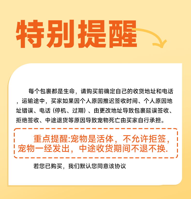 家养金丝熊仓鼠活物宠物虎纹眼圈奶牛熊米熊精选一公一母运输包活-图3