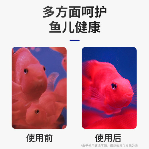 红鹦鹉鱼药疾病非治疗康复杀菌药水烂身烂尾白毛白点专用药剂水族 - 图1