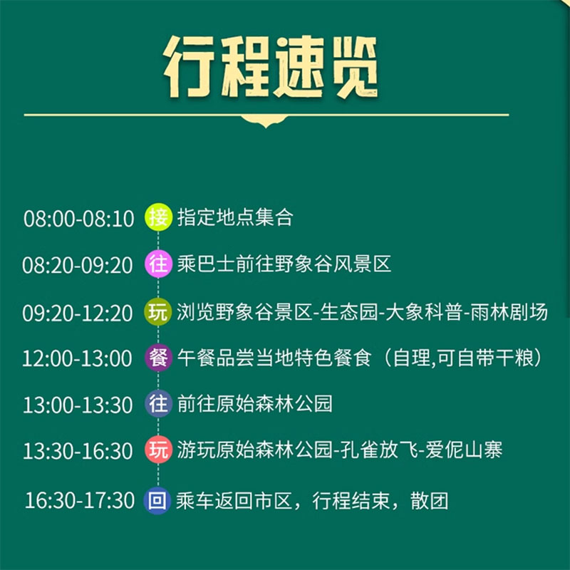 云南旅游西双版纳一日游野象谷原始森林公园陆地头等舱拒绝购物 - 图2