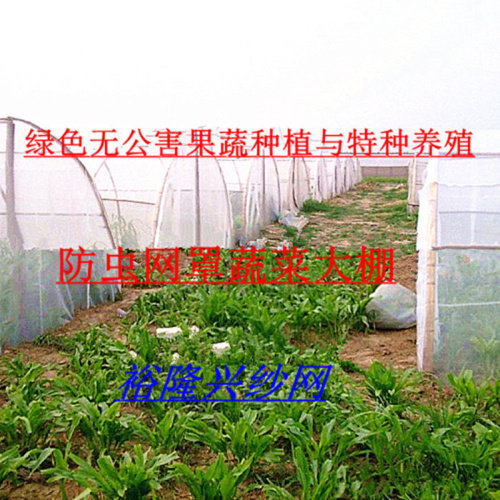定制蚂蚱养殖网蔬菜大棚养猪场防虫网加厚围网尼龙塑料防蚊纱窗网 - 图3