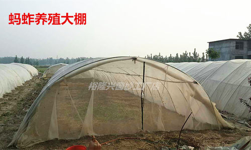 定制蚂蚱养殖网蔬菜大棚养猪场防虫网加厚围网尼龙塑料防蚊纱窗网 - 图2