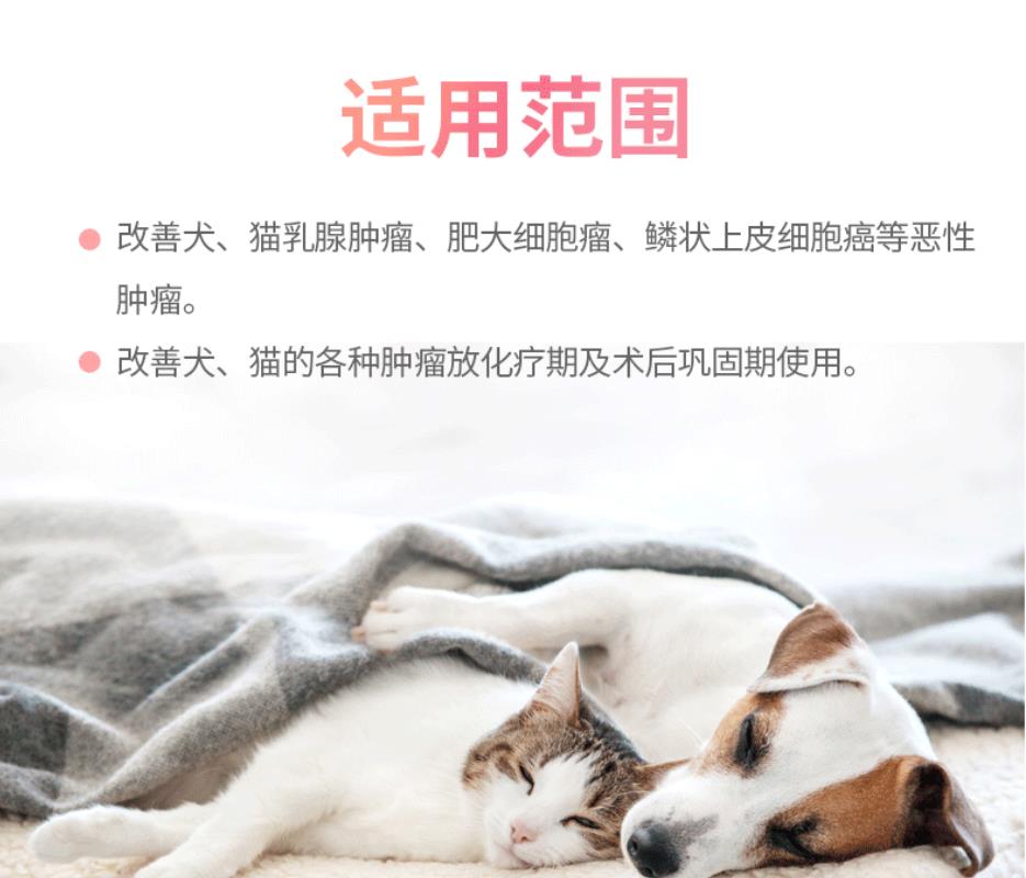 瘤盾犬猫化瘤丹宠物肿留瘤癌肛门狗狗菜花瘤脂肪瘤乳房肿块消结节-图1