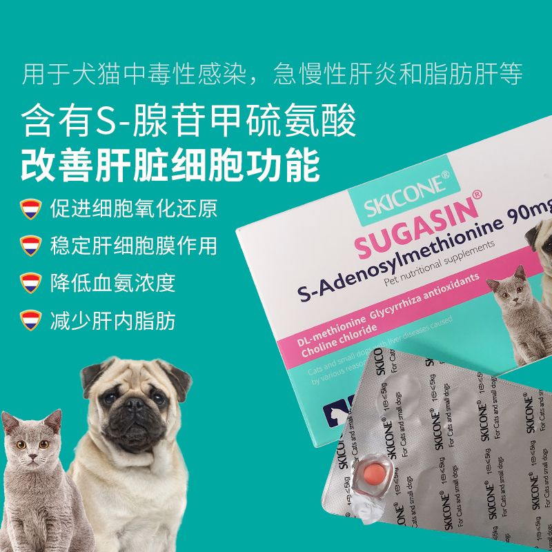 宠物肝脏营养品肝泰适猫肝病狗狗保肝宁肝炎腹水黄疸护肝损伤修复-图0