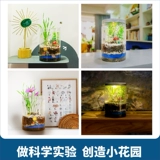 Steam, таинственная игрушка для детского сада для выращивания растений для экспериментов, наука