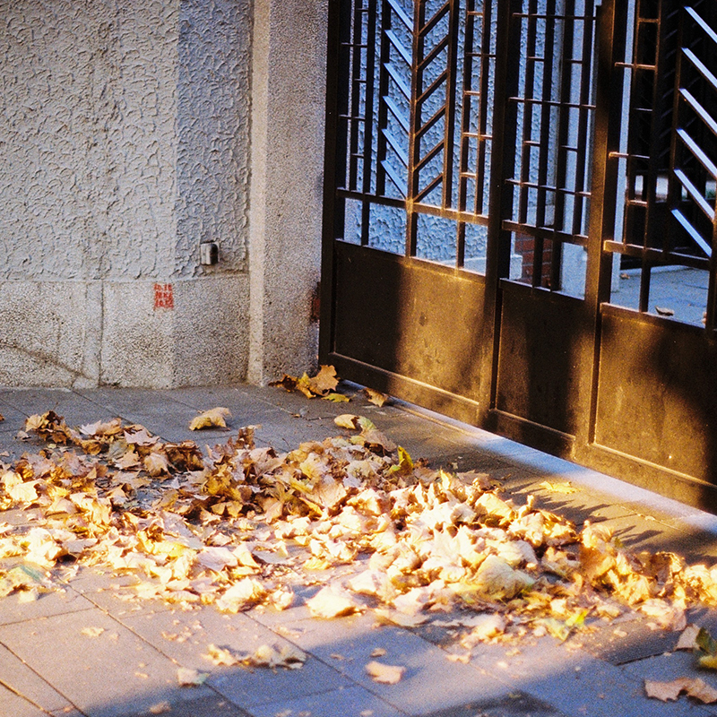 Fuji disposable film camera Kodak film point and shot film camera student illustration retro gift birthday