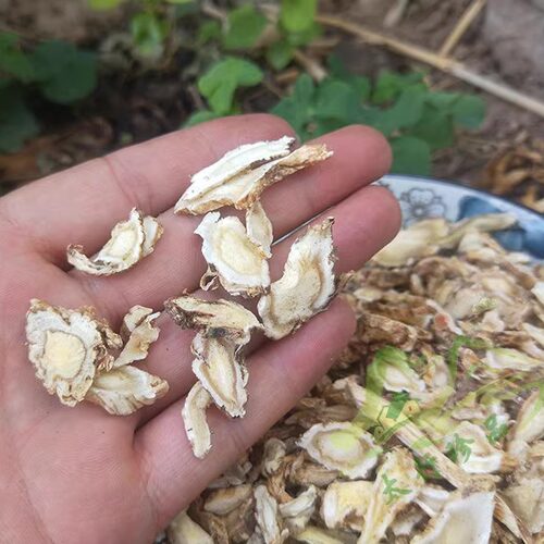 太行山桔梗片500g桔梗茶药用 野生桔梗干 中药材无硫代磨桔梗粉 - 图0