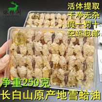 250 gr snow clams oil paste Tohoku Special production snow clams long white Mountain forest frog oil clams oil tete oil line oil